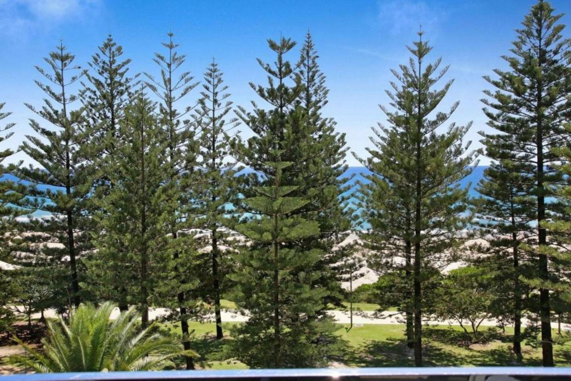 Ocean Front Breeze At Cashelmara Apartment *